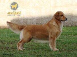 Chasse Barbara Chasse Barbara