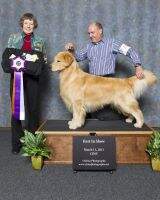 UKC AKC Ch. Snyder's I'm Lovin' It