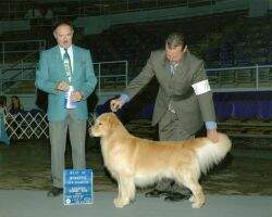 Canam Congressional Page Boy