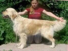 Rus ARMALD DZHENIFER SHERRI Rus ARMALD DZHENIFER SHERRI