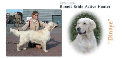 Bonett Bride Active Hunter HJCH ROJCH Bonett Bride Active Hunter HJCH ROJCH