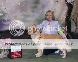 Intl/U-CH River Run Acorn's Knockout RN BN CCA