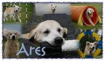 Kiley's I've Bean Looking 4U Ares OF AGN AGNJ RN