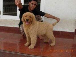 Casa Peace Billy