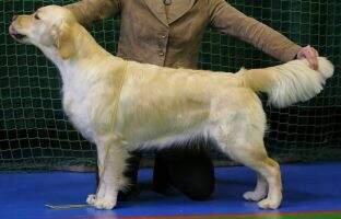EST & LV Rogerwiek Icequeen