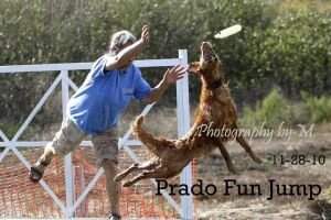 Yaqui's Glenhaven Kalani CGC; Therapy Dog