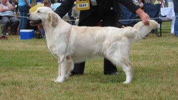 EBBLEDOWN SUNDANCE JW