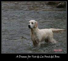 A Dream For Two de la Font del Bou