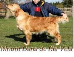 CER. Mount Dana de Ria Vela