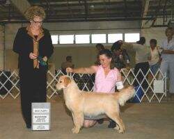 BPY Redog Venture's Lifes What U Make It BPY Redog Venture's Lifes What U Make It