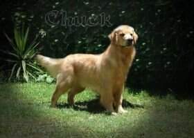 Chuck Serra do Mina Chuck Serra do Mina