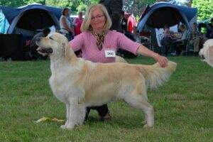 C.I.E., C.I.B., CH PL, CZ, SK, RUS, RKF, Club Winner of Russia Blaze Saltus