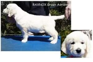 RAYNOX Grown Adrienna