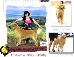 & UKC Ch. Camelot's Here There & Everywhere CCA