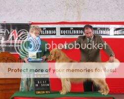 Gr.Ch.Pan.Bras Goldentrip Ringo Moritz Gr.Ch.Pan.Bras Goldentrip Ringo Moritz