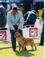 QUEIJEIRO MAXIMILIANA (ORTIZ) MEX FCI