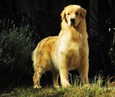 Habia una Vez Bubbaloo