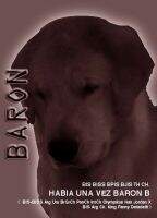 BJIS BPIS Th Ch. Habia una Vez Baron B