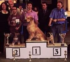 Campeon de Canarias Darwin Luba Luara Lihue