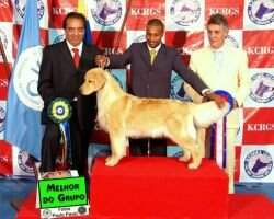 Uru Ch Br Gr Ch Pan Ch LIBERTY PRINCESS PONDICHERRY ARGENTINA Uru Ch Br Gr Ch Pan Ch LIBERTY PRINCESS PONDICHERRY ARGENTINA