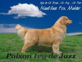 Poison Ivy de Jazz Poison Ivy de Jazz