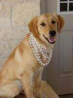 Hideaway & Moy's Mikimoto Girl MXF MFB