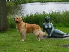 Diamond Da Silva vom Schl?sschen Aichtal Diamond Da Silva vom Schl?sschen Aichtal