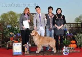 A Eyes On Me Of Goldenline kennel