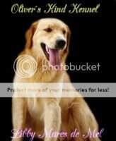 Libby Golden Mares de Mel Libby Golden Mares de Mel