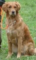 Seaspirit Mynta