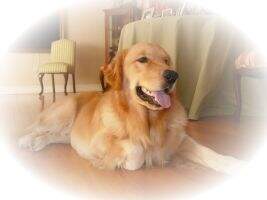 Zeus the Supreme God of Peterwhite