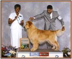 Rainydays' Canine Scene Investigator