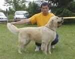 CH BOG Lorenzo Fekete Domino