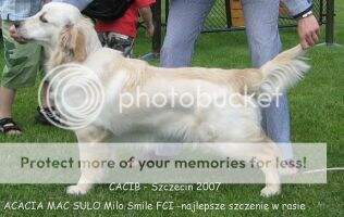 ACACIA MAC SULO Milo Smile FCI