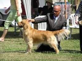 Chantilly's Boss In Motion