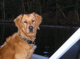 Flambeau's Bailey Autumn
