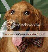 Tenacious Tucker-Orland Pk