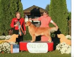 Hillock's A Diamond At Broadway Hillock's A Diamond At Broadway