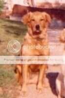 Sharland Stormcloud Sharland Stormcloud