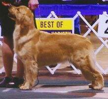 Phoenix Legally Blonde