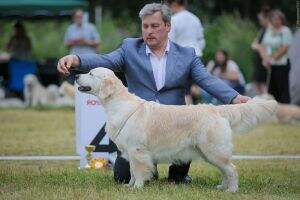 Veteran Inter Rus Blr Lt Est Cz Ukr RKF Club Grand Ch Riera Amberly Takara