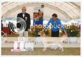 Ch. Col. Ag - Golden Age Susan Jocelyn Bell