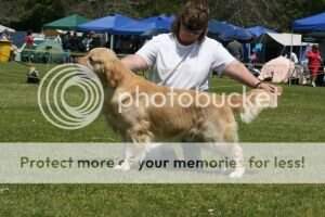 Mistymoor Catch Me If U