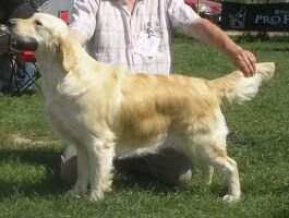 CRO Sophisticated Lady Agram-Can CRO Sophisticated Lady Agram-Can