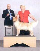 UKC CH St. Andrew's Riviera Splash @ Sharmik UKC CH St. Andrew's Riviera Splash @ Sharmik