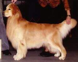 Pennylane Win For The Gipper Pennylane Win For The Gipper
