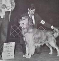 Oakhaven's Okeechobee Finn