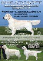 Wheatcroft Cabledeck Navigator KC JW Wheatcroft Cabledeck Navigator KC JW