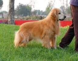 Max Your The Boss