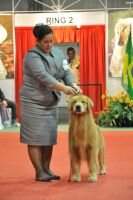 Chi,Arg, Col CHESTERFIELD'S MR. BOJANGLES Chi,Arg, Col CHESTERFIELD'S MR. BOJANGLES